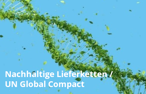 Nachhaltige Lieferketten / UN Global Compact